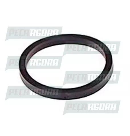 ANEL VEDACAO TAMPA INSPECAO MWM VOLKSWAGEN 7.100/23.210 (TAE109287)