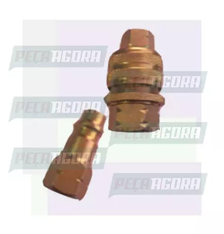 ENGATE RAPIDO ROSCA 1/2 NPT COM TRAVA COM PINO(COMPLETO) ACO VT (458415)