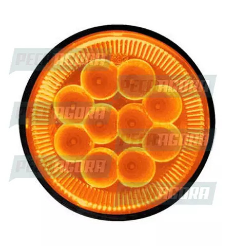 LANTERNA TRASEIRA RANDON COM 10 LEDS 24V 1 POLO AM. PRADOLUX PL0760 (451383)