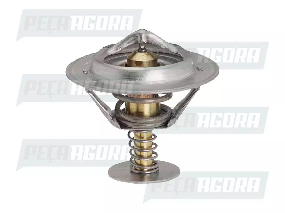 VALVULA TERMOSTATICA ORIGINAL CUMMINS FORD MAN (BH2X8575CA)