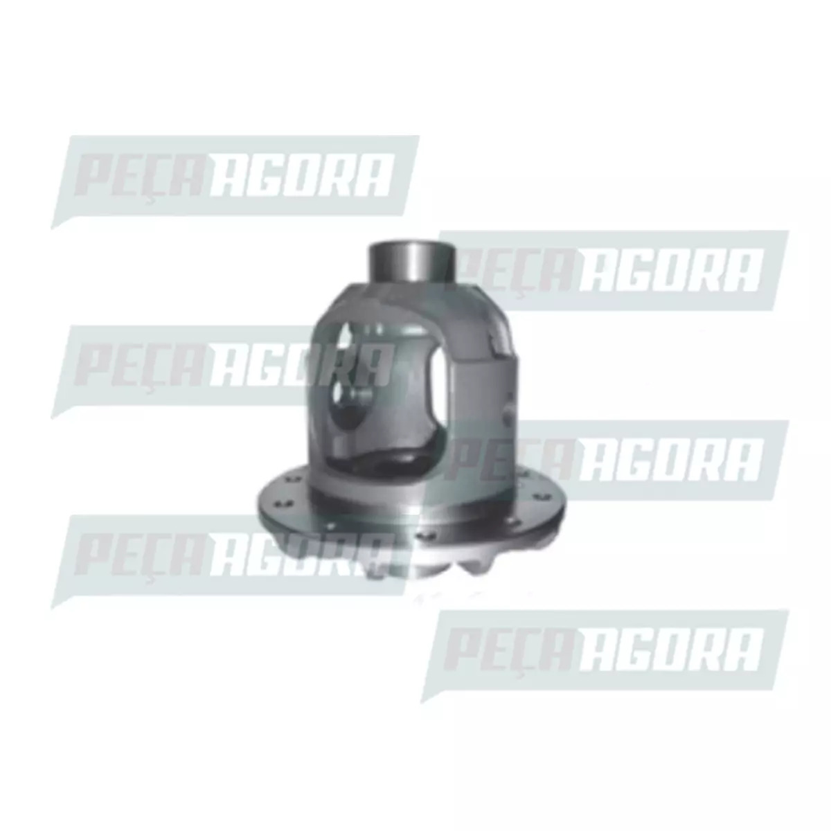 CAIXA SATELITE VAZIA DANA 405 BRASEIXOS RAT 3.07 A 3.15 FORD F1000 A20 D20 C20 (