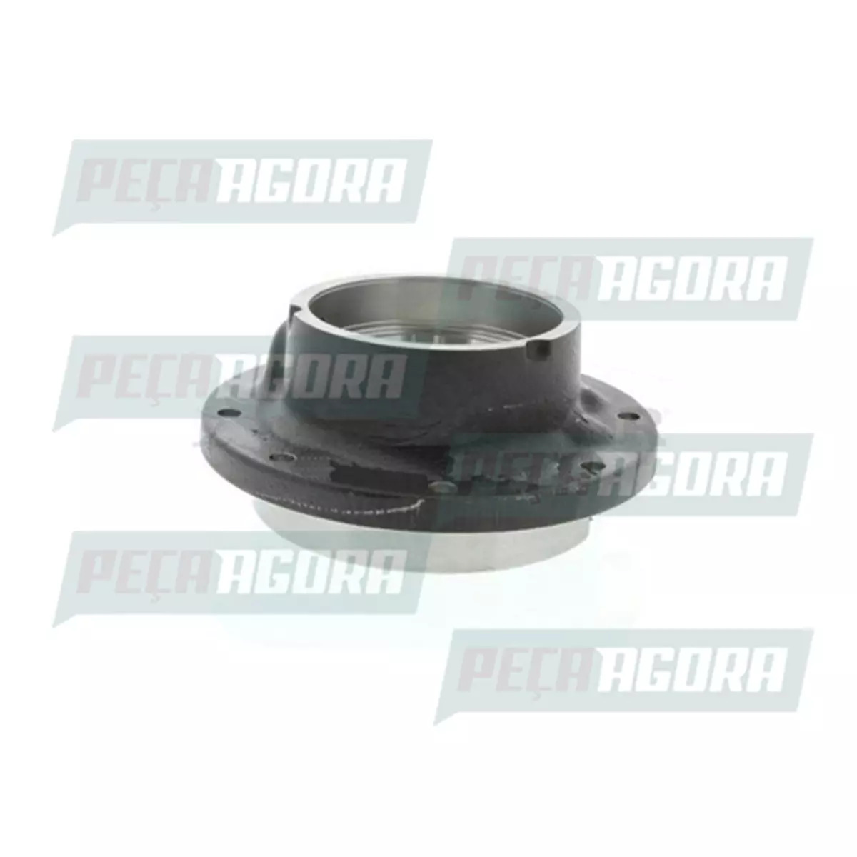 CAIXA PINHAO DIFERENCIAL ANTERIOR RD23160 VW CONSTELLATION 31260 26260 (BG5X4416