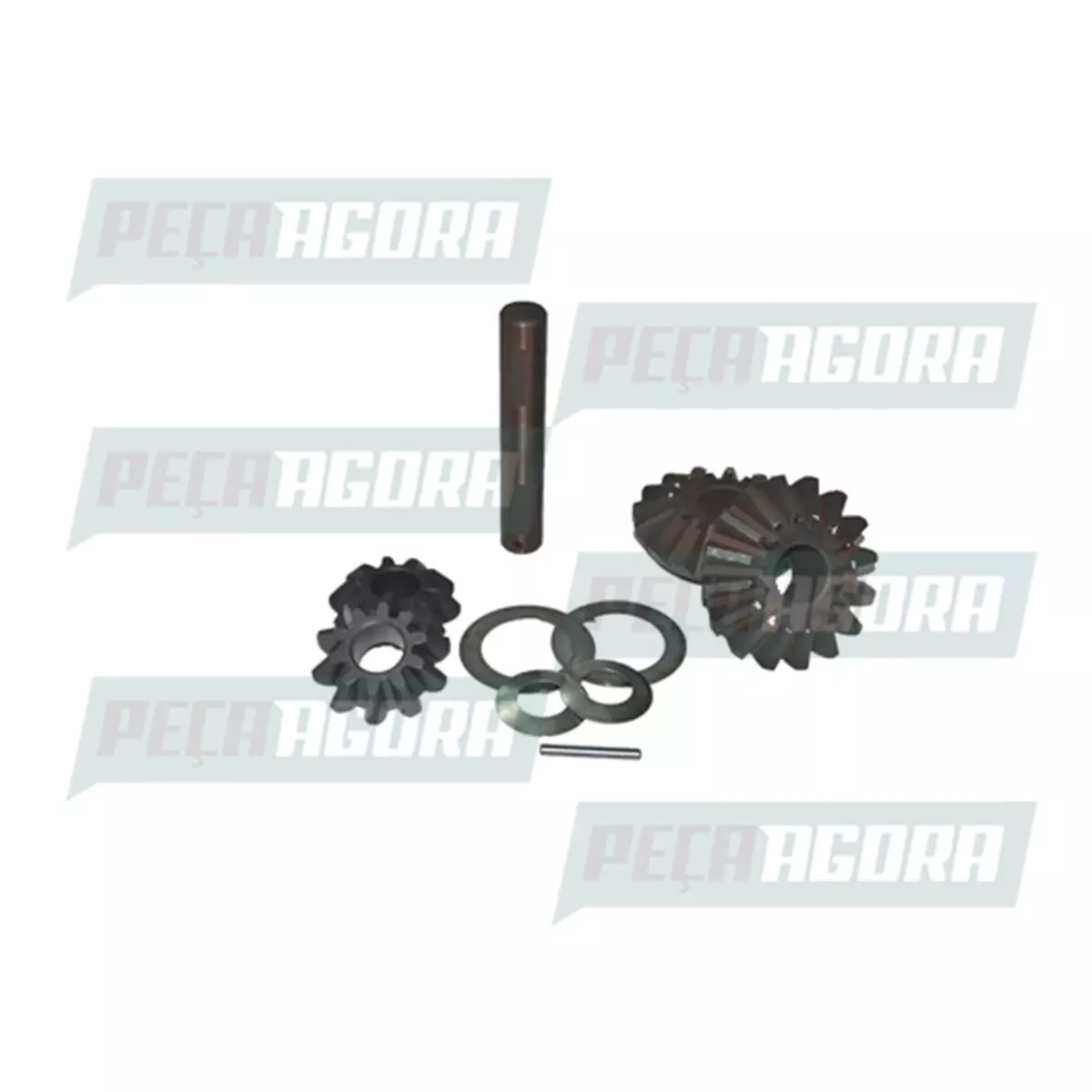 REPARO CAIXA SATELITE DANA VW MB FORD TODOS (2P0598081A)