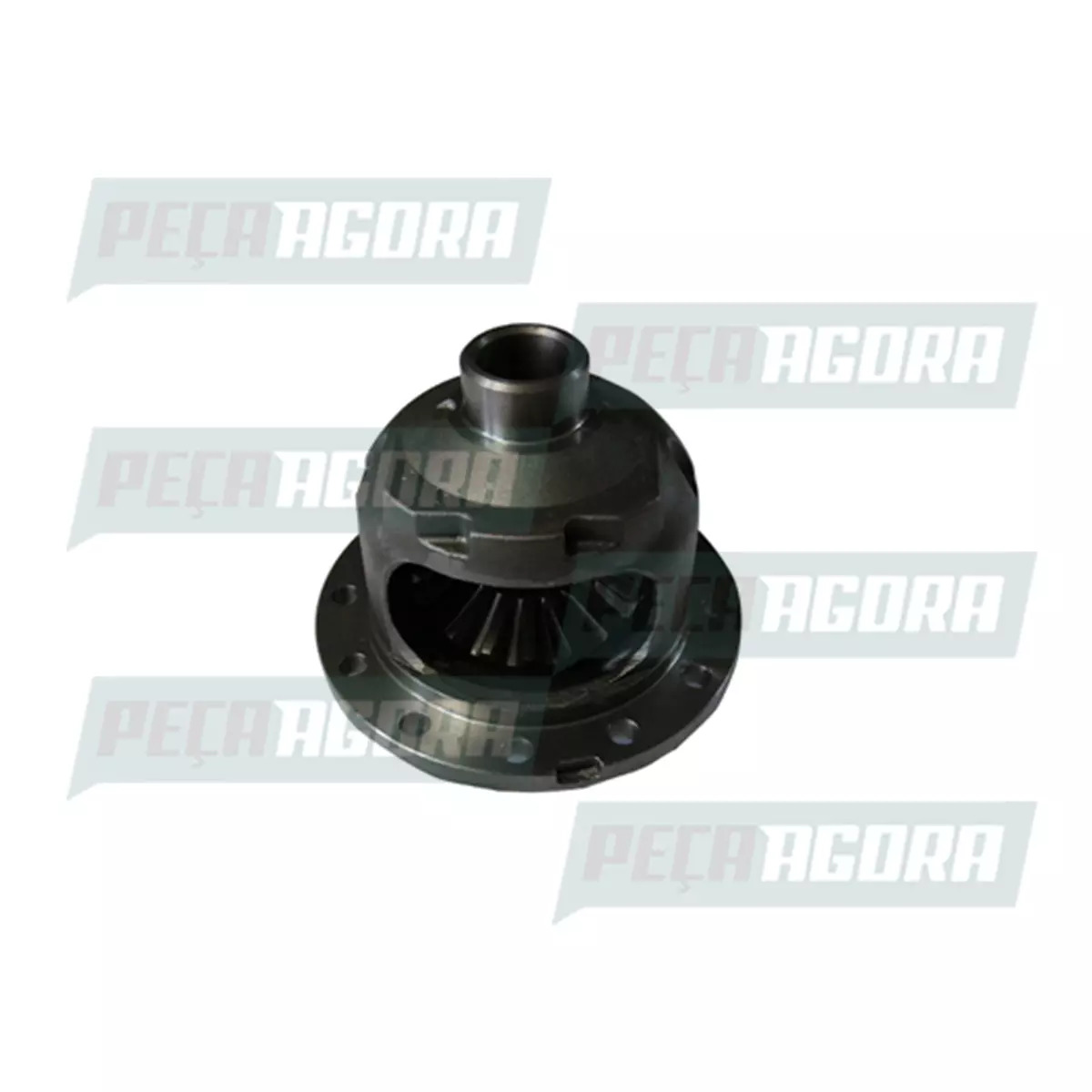 CAIXA SATELITE COMPLETA DANA 286 267      RAT 4.30  4.63  5.13 (BG6T4200A.)