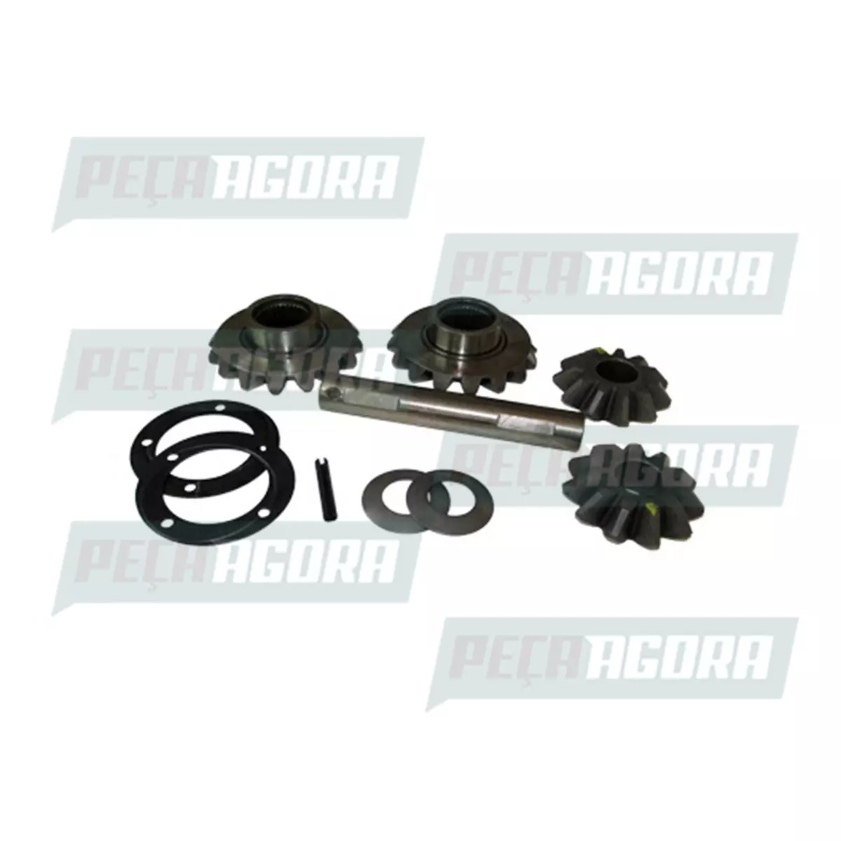 KIT REPARO CAIXA SATELITE DANA 284HD VW 9150 9160EOD (2P0525169/159)