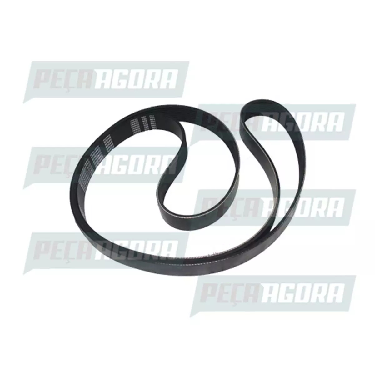 CORREIA POLY V (903450901840E)