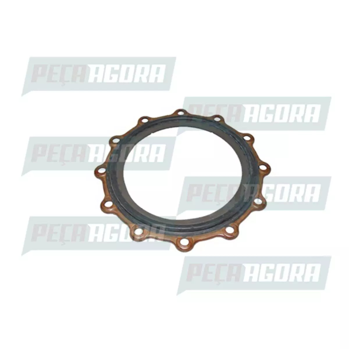 RETENTOR TAMPA TRASEIRA DA CARCACA COM TOMADA FORCA CARGO E VW 6X4 COM MOTOR 6CT