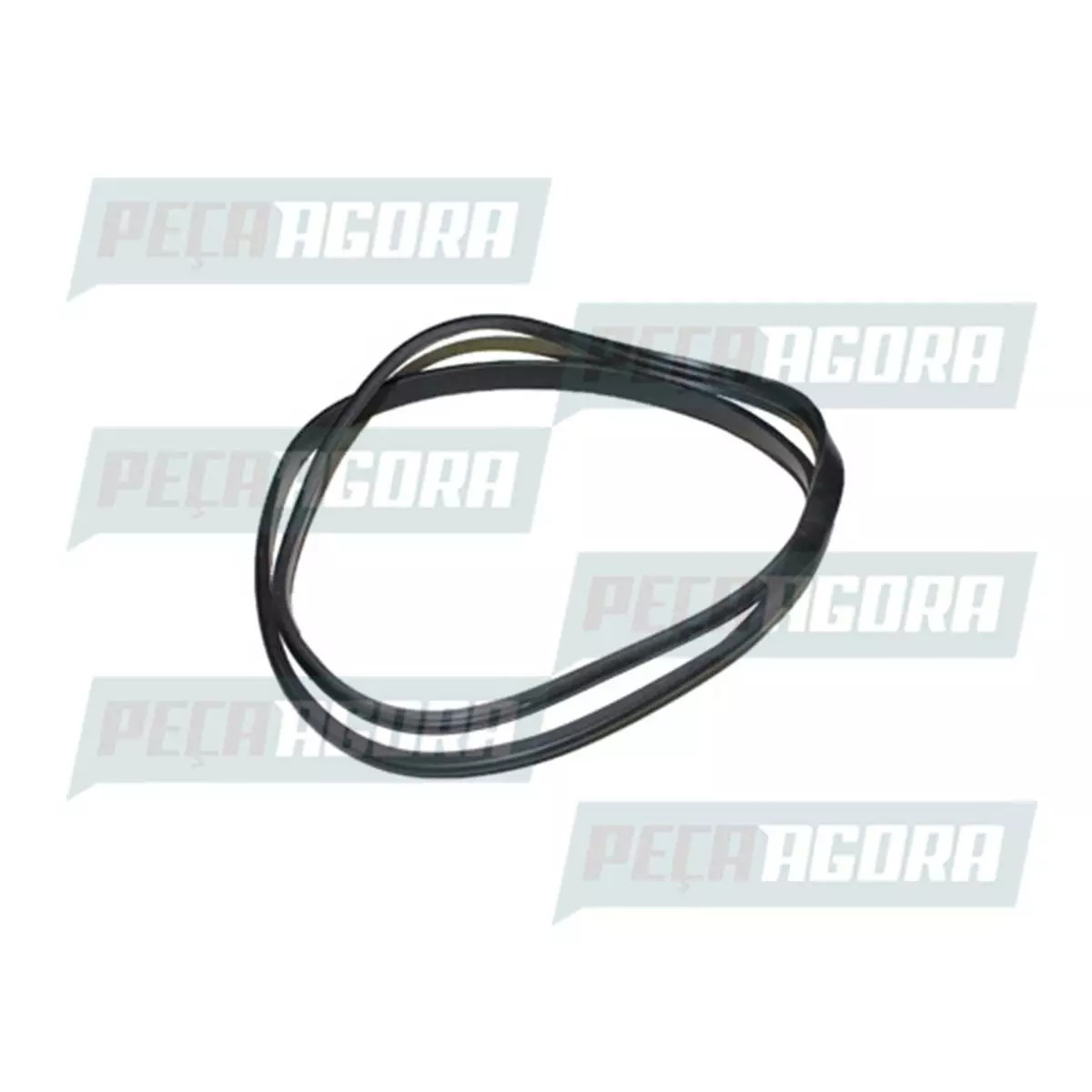 ANEL VEDACAO TAMPA FILTRO AR VW 13.180 15.180E  VOLKSWAGEN CONSTELLATION (2S2129