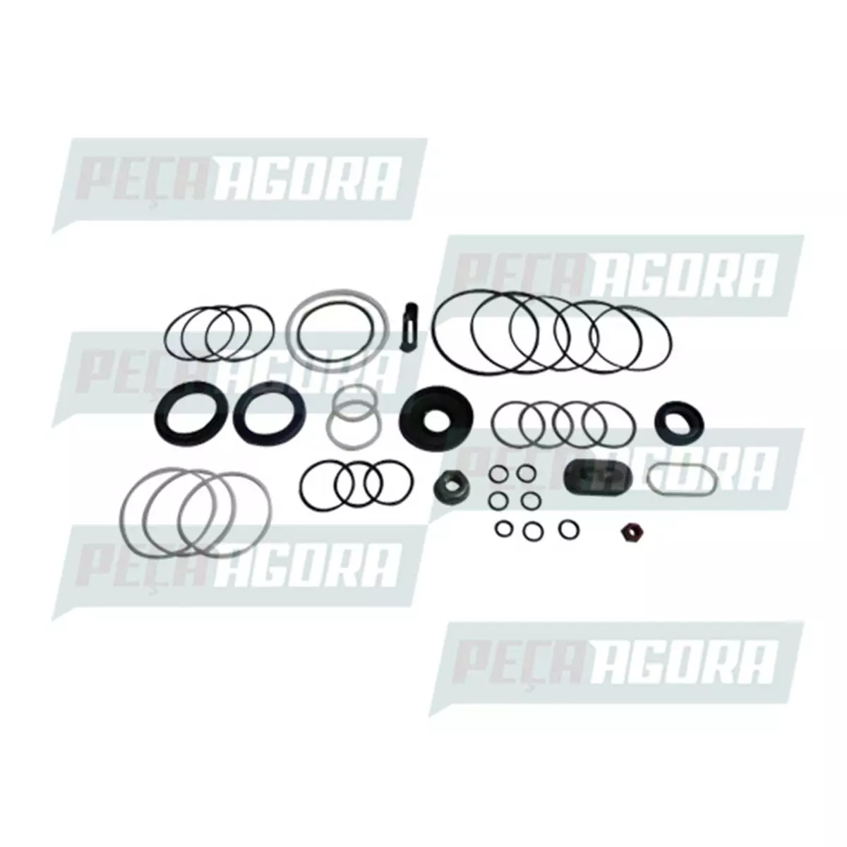 REPARO CAIXA DIRECAO HIDRAULICA ZF FORD F1000 F2000 F4000 APOS 90 / GM D20 (8053