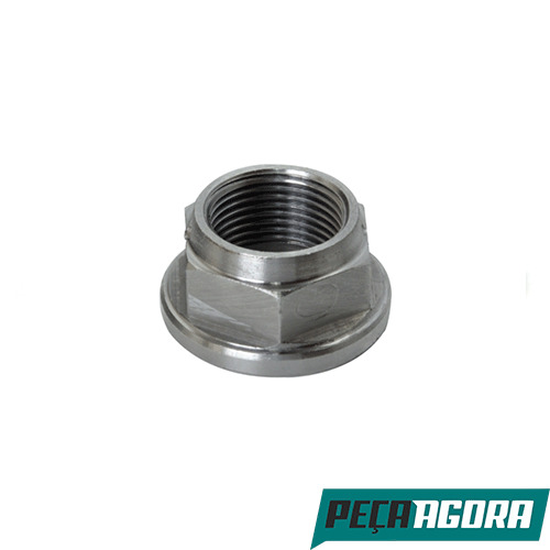 PORCA DIFERENCIAL (PINHAO) GM GENERAL MOTORS D 10/ D 20 (3887866)