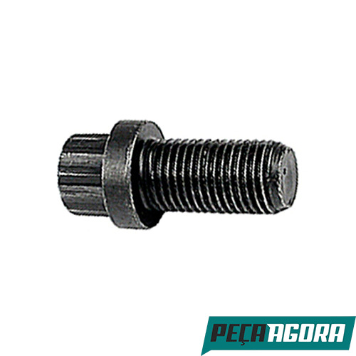 PARAFUSO TERMINAL CARDAN FORD  GM GENERAL MOTORS  VW (F1HT4N272AA)