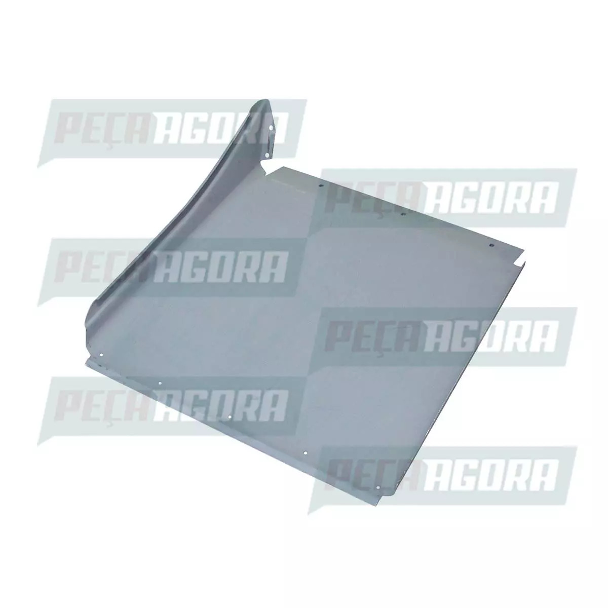 PARALAMA FERRO RANDON TRASEIRO, LADO DIREITO (313007912)