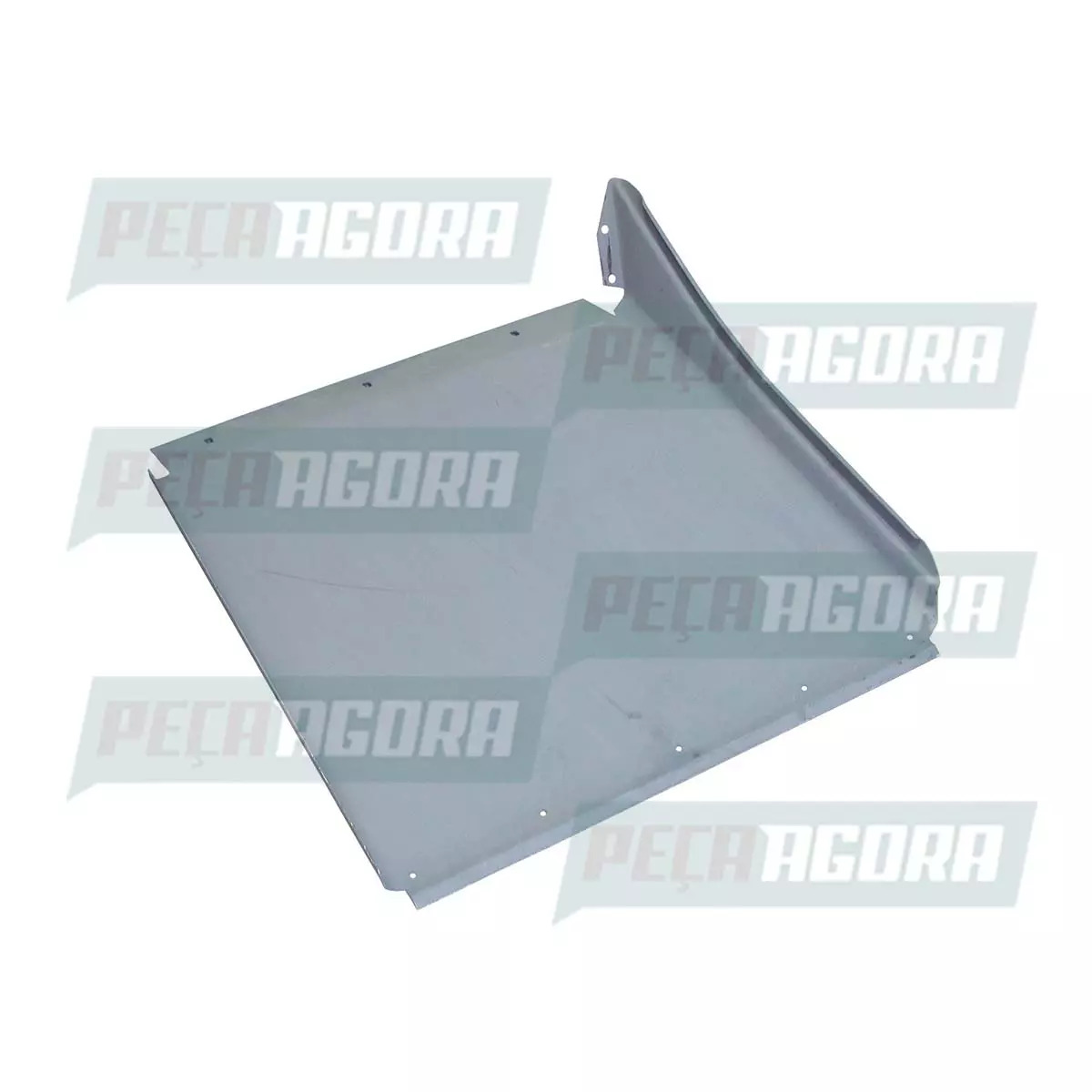 PARALAMA FERRO RANDON TRASEIRO, LADO ESQUERDO (313007911)