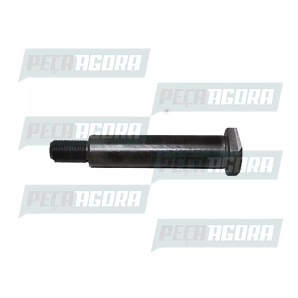 PINO DA MOLA TRASEIRA AGRALE  W7 W8 W9 (6012014322001)