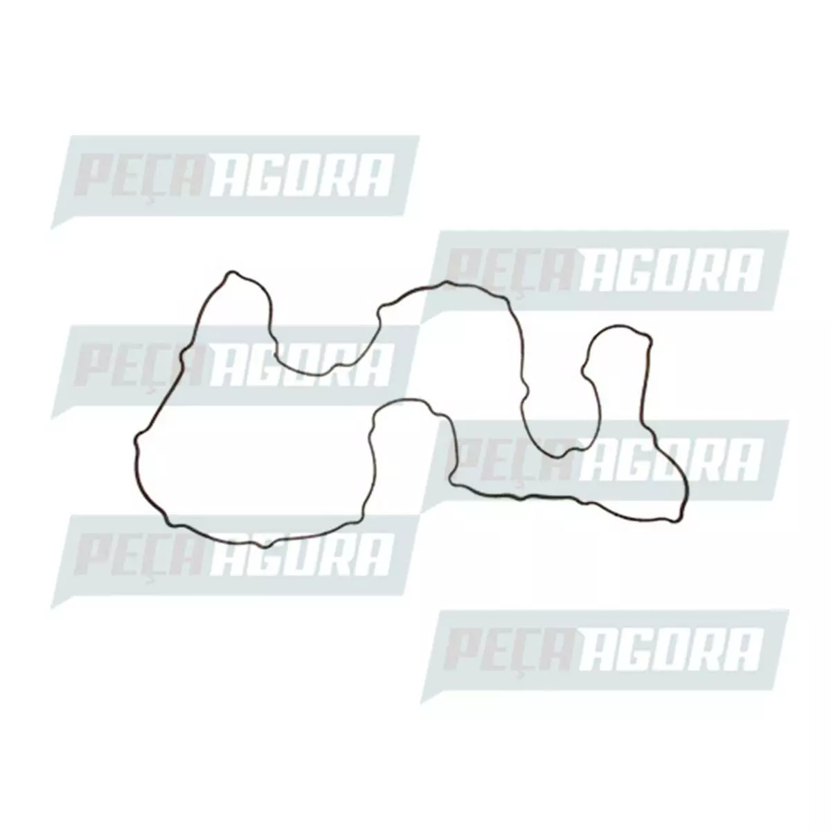 JUNTA TAMPA VALVULA MOTOR CUSOR 10 FORD 2042 2842    (500323989)