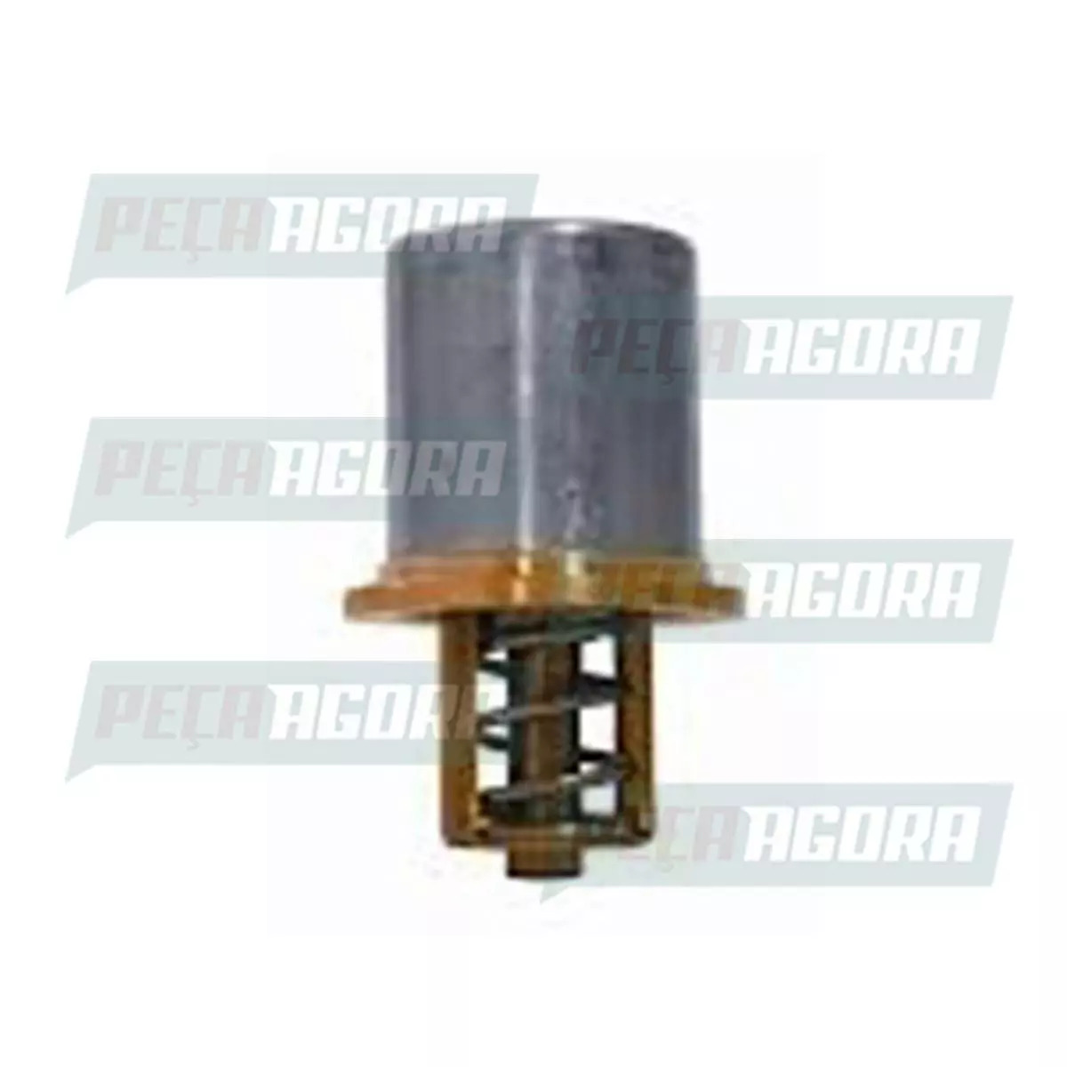 VALVULA TERMOSTATICA FIAT DUCATO/RENAULT 2.8 8V (504024218)