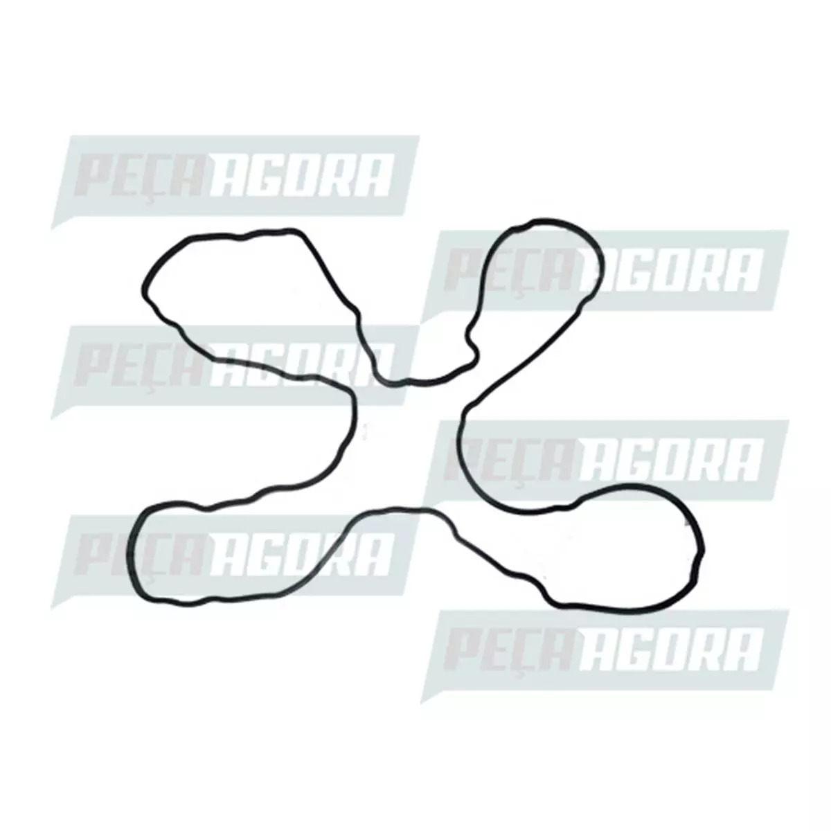 JUNTA CARCACA VALVULA VW 19.320E 25.320E 31.320E 24.320E 17.320E  ELETRONICO CUM