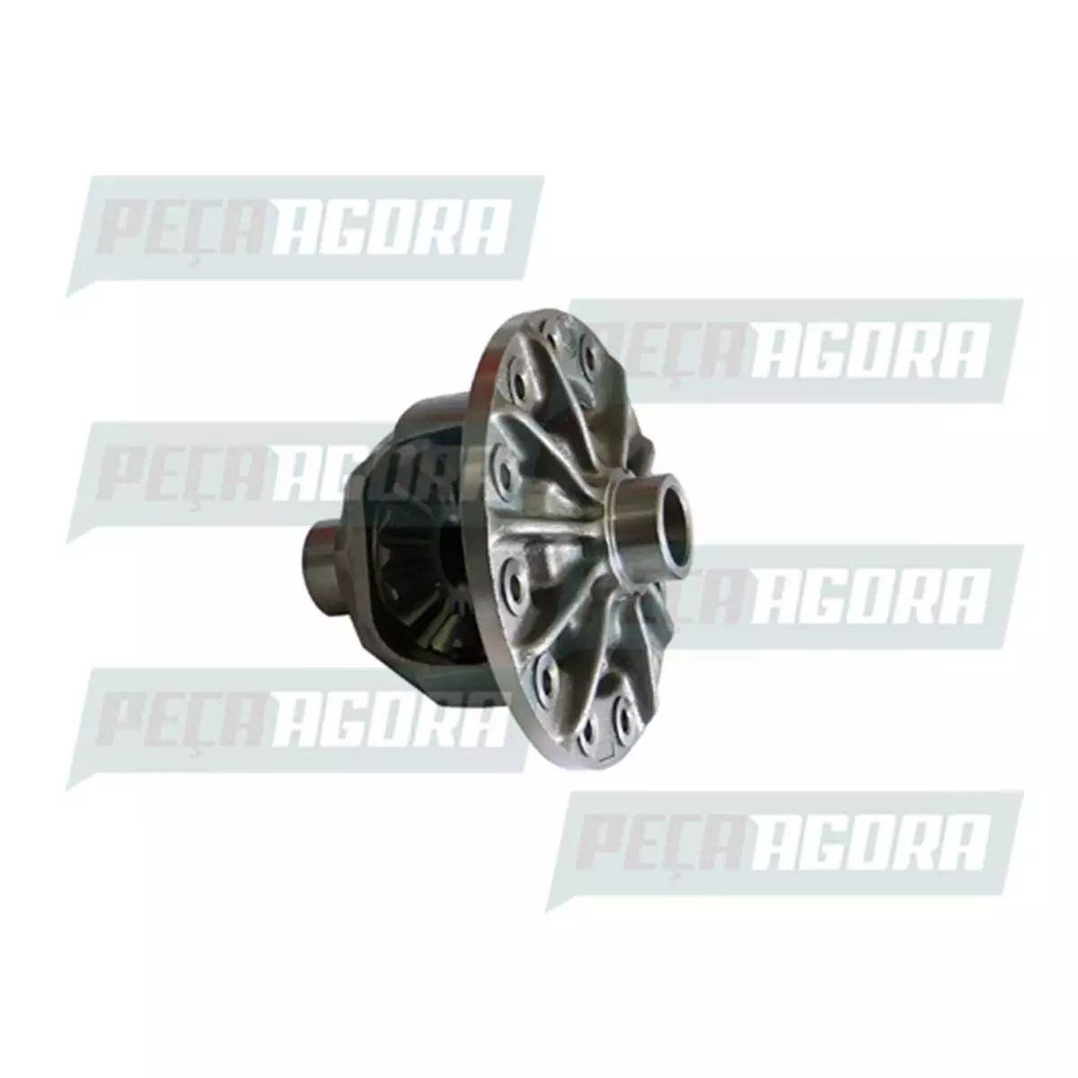 CAIXA SATELITE COMPLETA DANA 284 RATIO 5,86:1 VW 8150 8160 MICRO EOD 8150 8160  