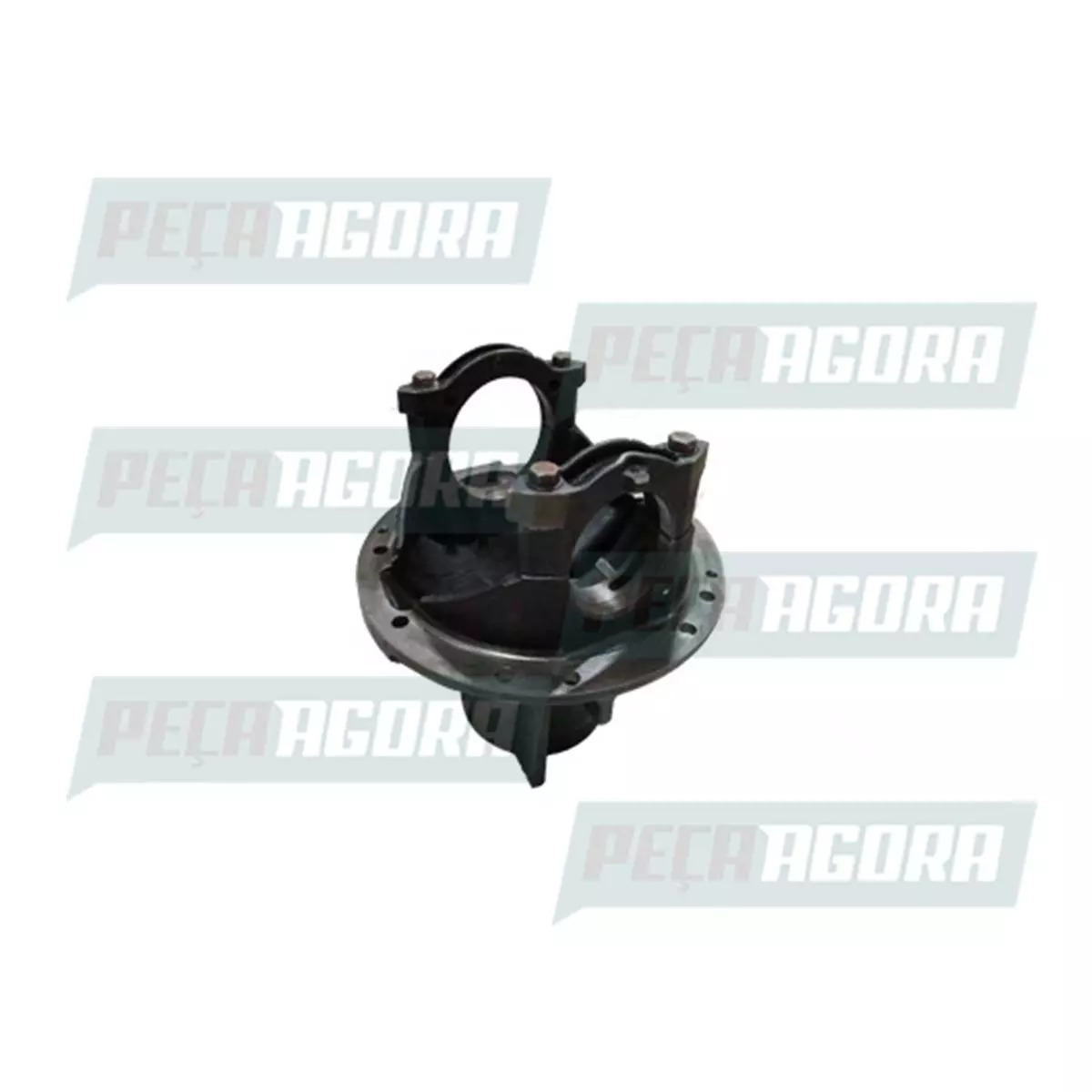 CARCACA  CENTRAL DIFERENCIAL RS220 VW 12.140H CARGO 1317 1316 1215 1217 F11000 F