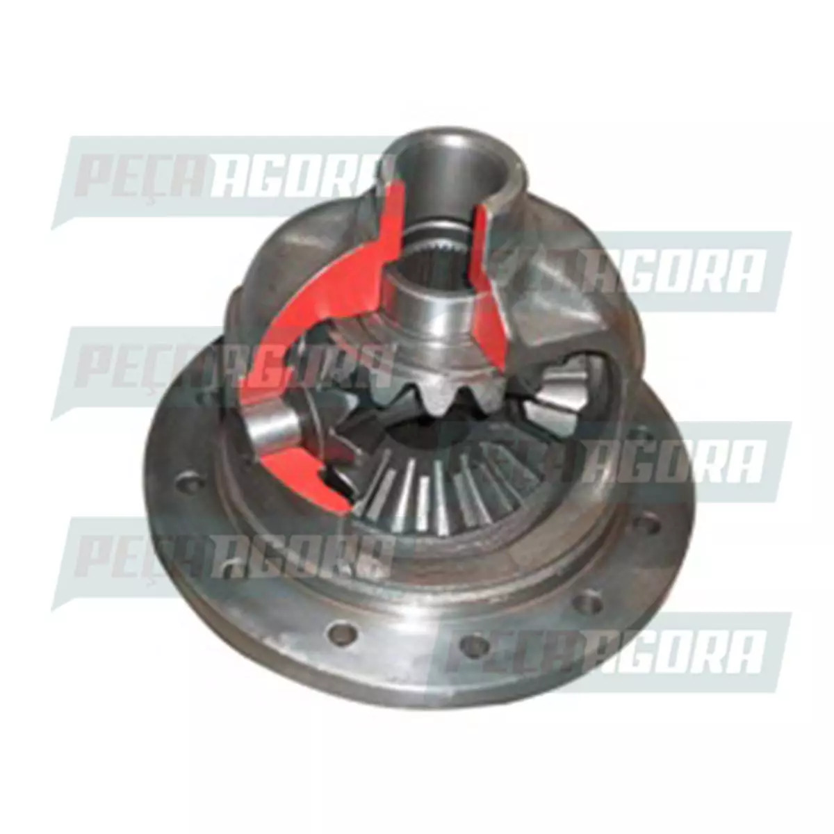 CAIXA SATELITE COMPLETA  DANA 284  37X8 - 43X8 - 43X10 VW 7.110 7.120 7.100 8.12