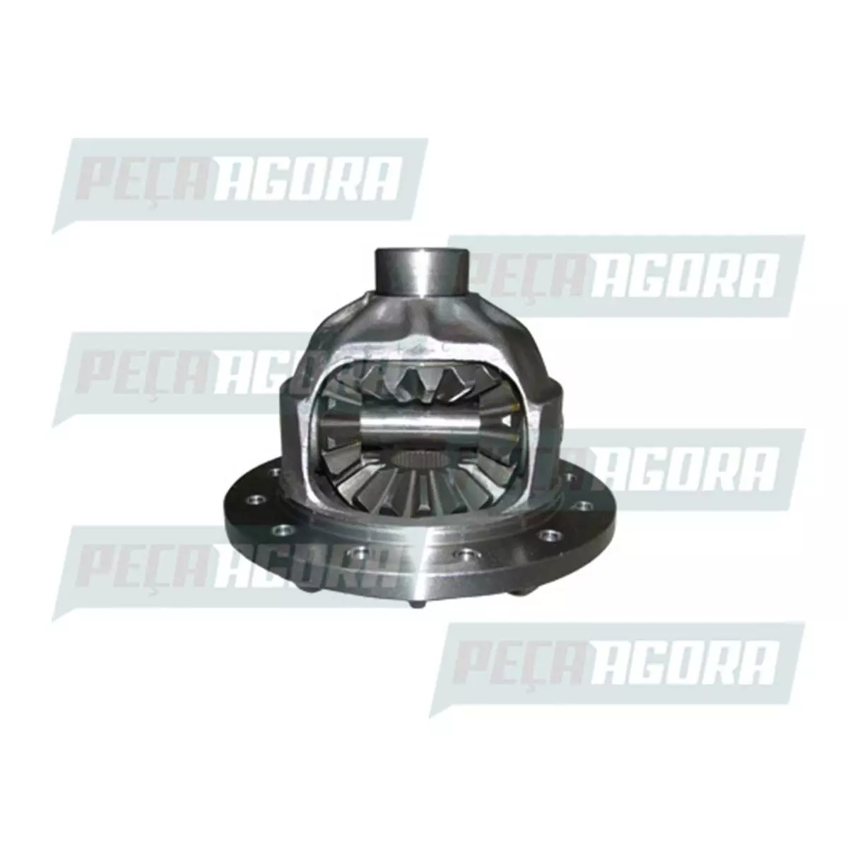 CAIXA SATELITE COMPLETA DANA 284HD VW 9150EOD 9160  2011/... (2P0598081B)