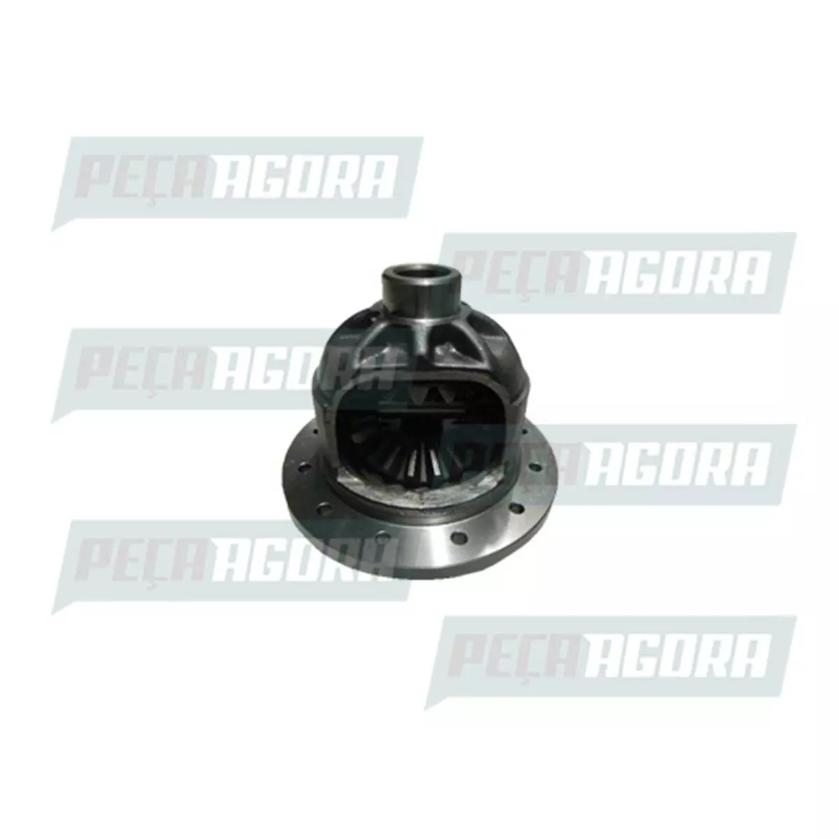 CAIXA SATELITE DANA 284 COMPLETA CARGO 815E 2005/....VW 8120 8150 9150 VOLARE A5