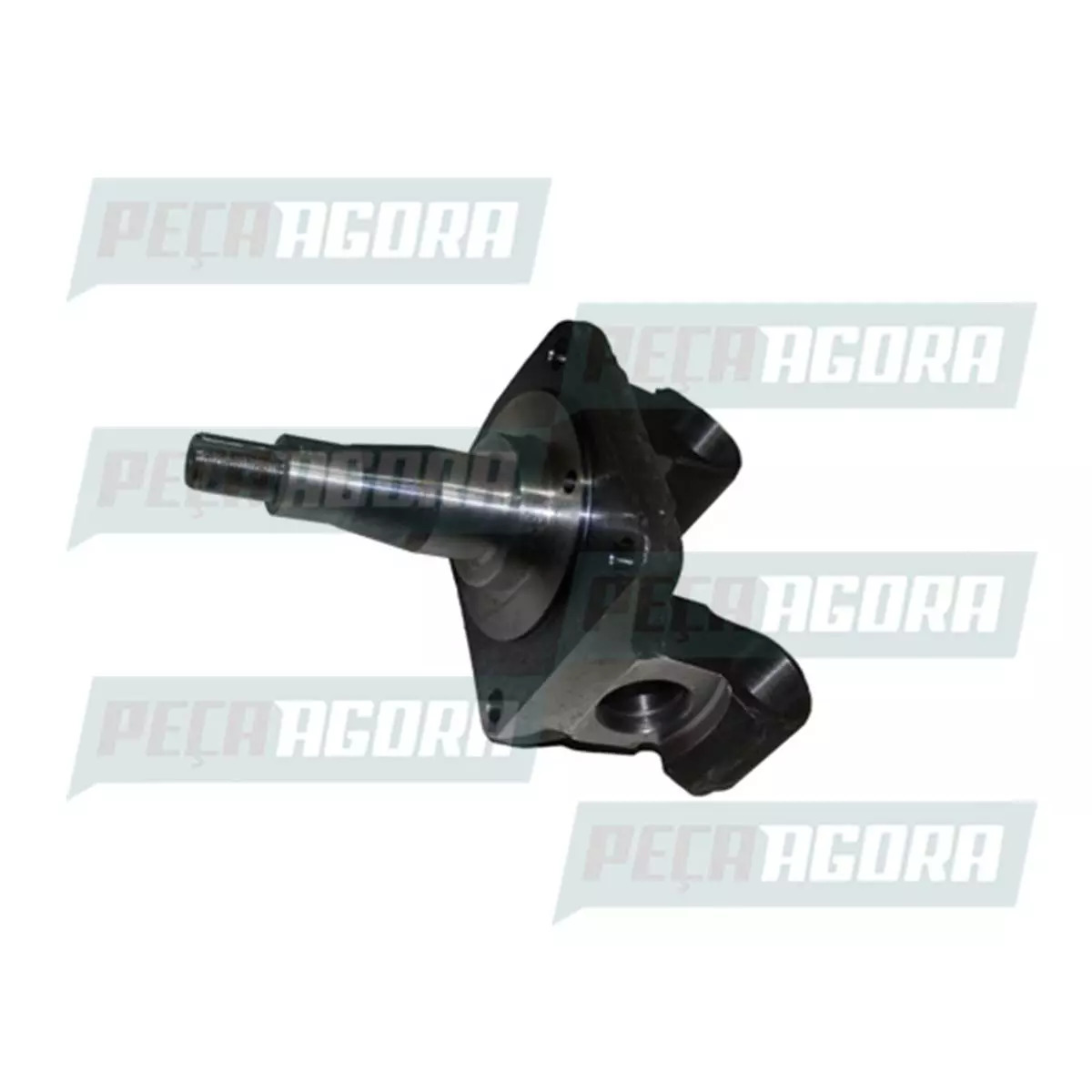 MANGA DE EIXO LADO ESQUERDO  PONTA GROSSA  33MM AGRALE VOLARE W9 2011 ..... EIXO