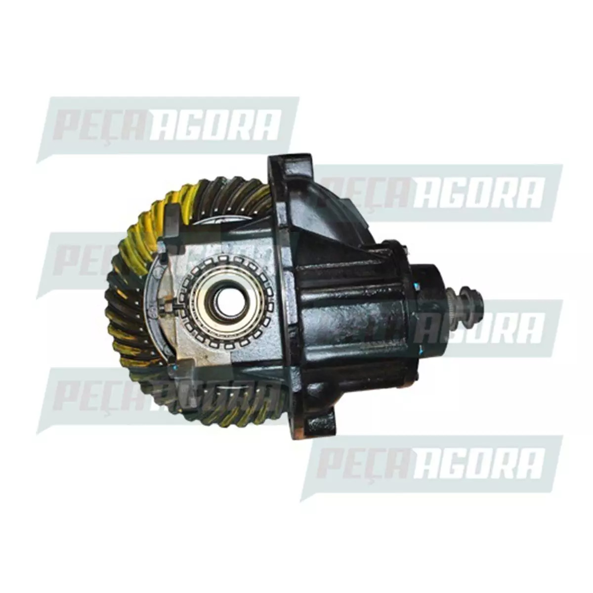 CONJUNTO CENTRAL  44X9   RS160 RR23165 RAT 4,89 POSTERIOR CARGO 4432 VW 26320 TO