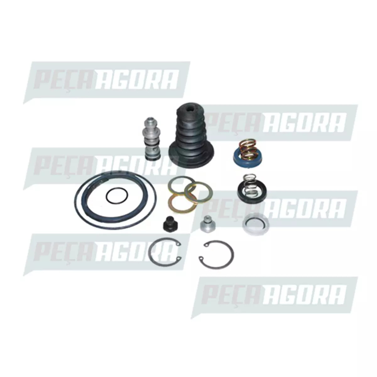 REPARO DO SERVO AUXILIAR DA EMBREAGEM AGRALE VOLARE V8L EURO V (6025003031003/.)