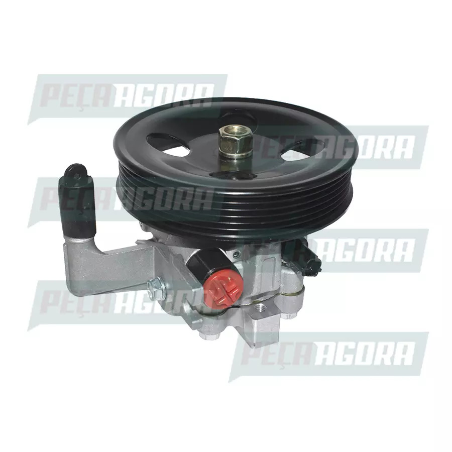 BOMBA DIRECAO HIDRAULICA COM POLIA ASIA/KIA HYUNDAI ASIA/KIA HYUNDAI       (5710