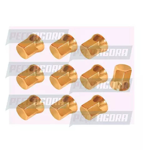 CAIXA COM 10 CAPA PORCA RODA DOURADA PADRAO 30 TRACAO BAIXA (CX.456647**10)