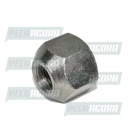 CAIXA COM 10 PORCA RODA DIANTEIRA F600/7000/11000 ESQUERDO 3/4 138L (CX.BB9T1121