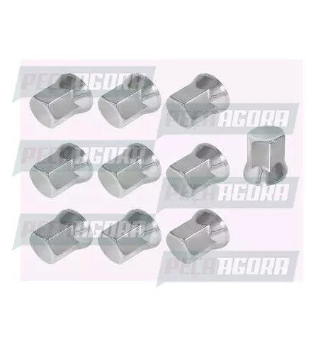 CAIXA COM 10 CAPA PORCA RODA CROMADA PADRAO 19 TRACAO EXTRA (CX.456634**10)