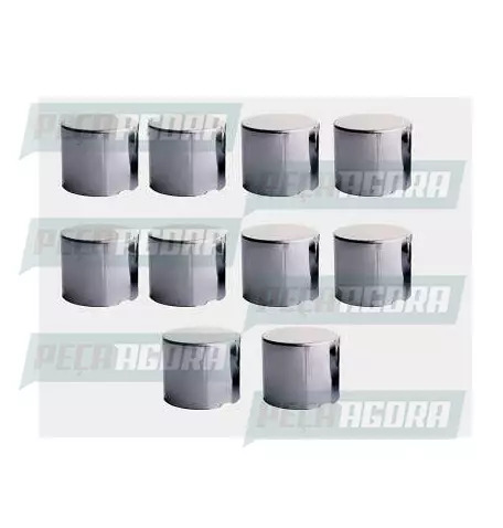 CAIXA COM 10 CAPA PORCA RODA CROMADA BOLIVIANA 24 TRACAO JETTA (CX.458188**10)