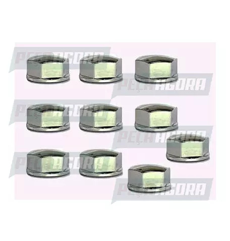 CAIXA COM 10 CAPA PORCA RODA CROMADA PADRAO 19 TRACAO PARA SCANIA TOP (CX.442300