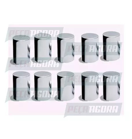 CAIXA COM 10 CAPA PORCA RODA CROMADA BOLIVIANA 32/33 TRACAO EXTRA (CX.456674**10