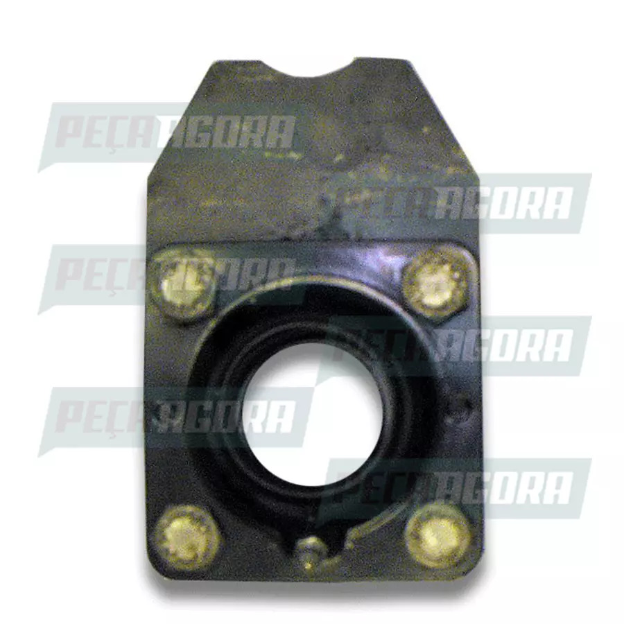 CONJUNTO MANCAL TUBELESS CARRETAS RANDON (251100011)