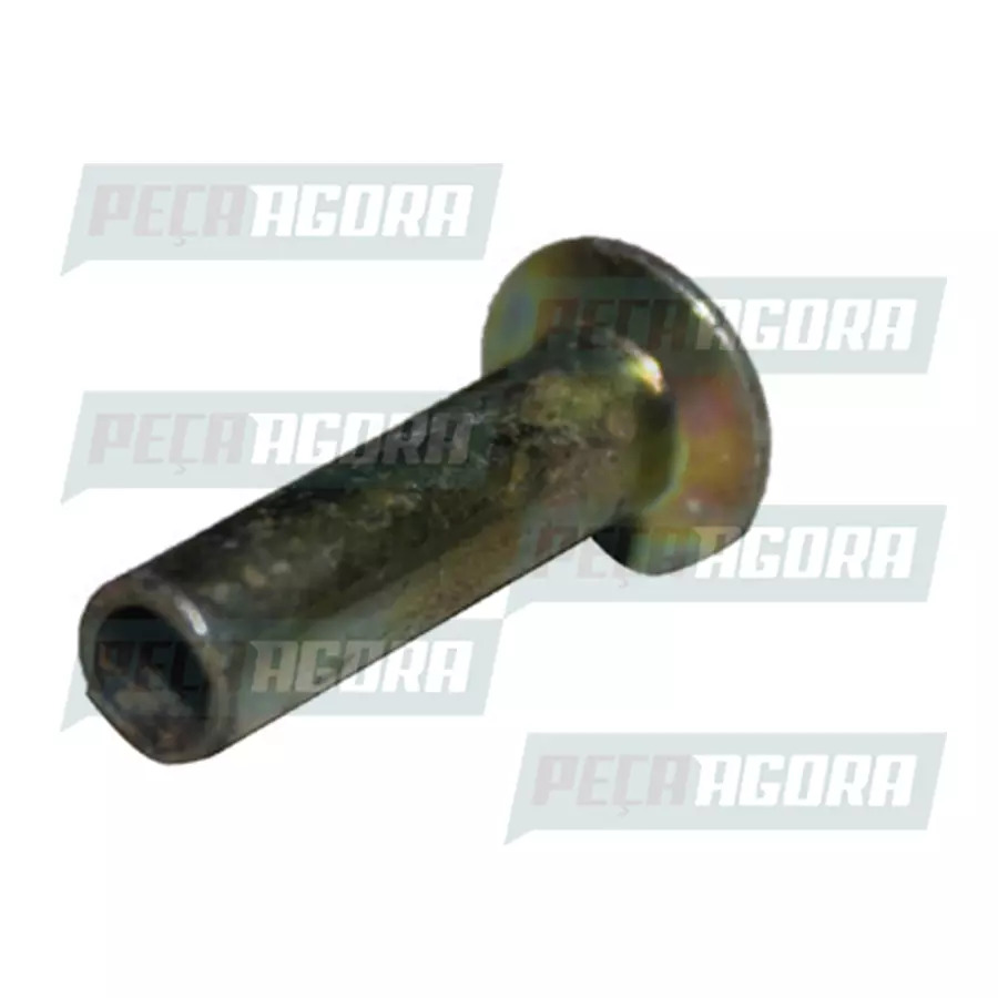 1000 REBITE FREIO 10 X 14 FERRO BICROMATIZADO SEMI TUBULAR (210001221)