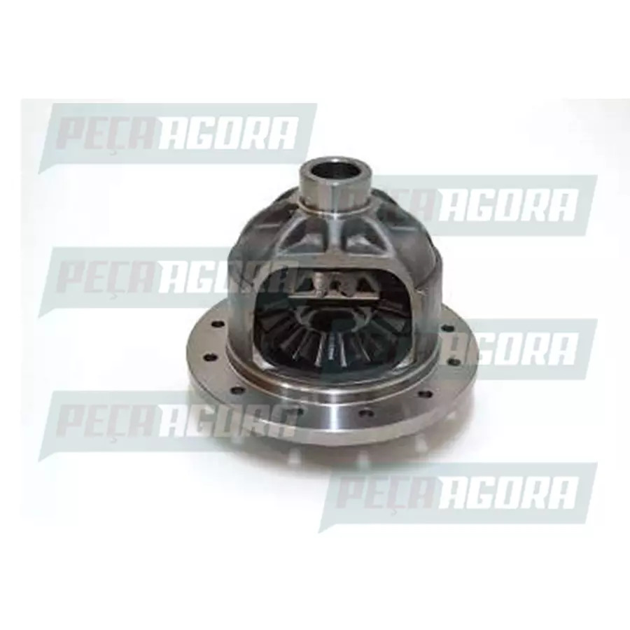 CAIXA SATELITE COMPLETA DIFERENCIAL DANA 411 28,56 EIXO DANA 411 TRACAO SIMPLES 