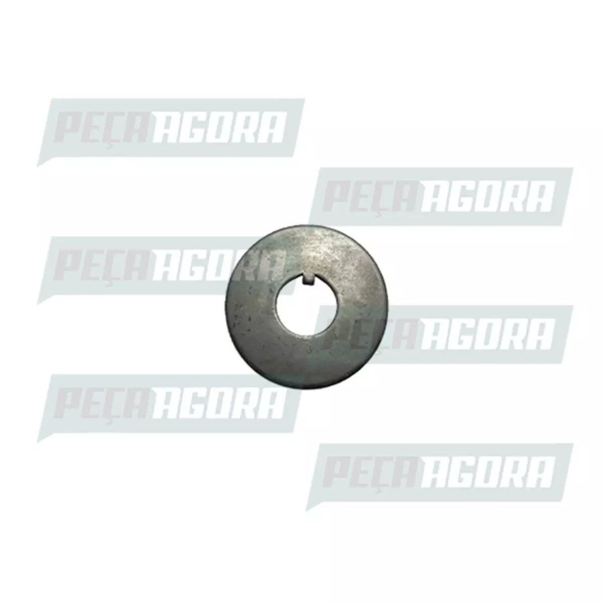 ARRUELA SEGURANCA CUBO RODA DIANTEIRA (1C451195AA.)