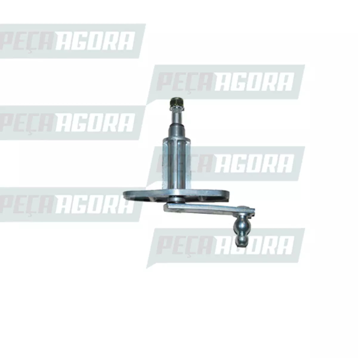 PIVO LIMPADOR PARABRISA LD VW TODOS (T00955216A)