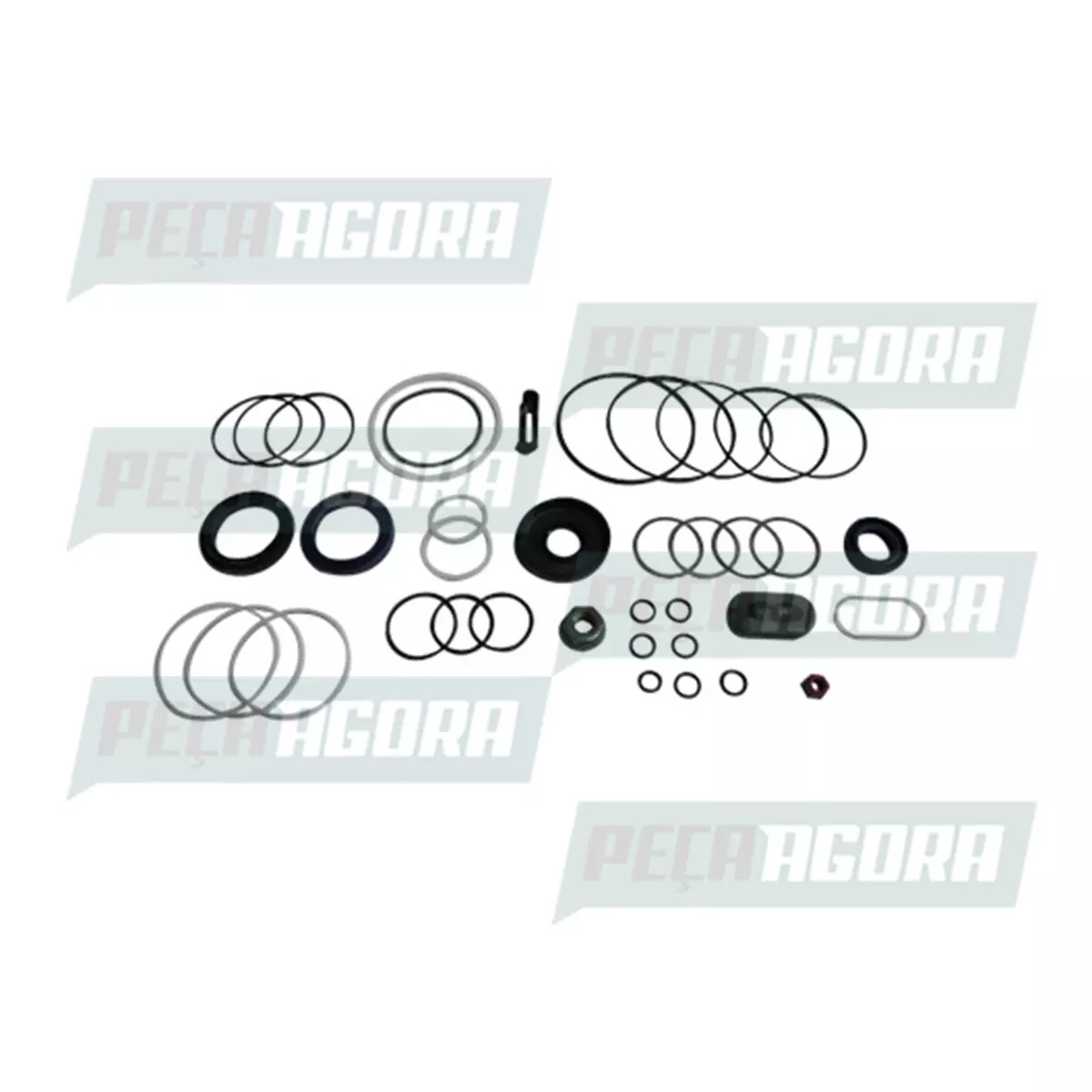 REPARO CAIXA DIRECAO HIDRAULICA ZF FORD F1000 F2000 F4000 APOS ANO 1990 GM D20 (
