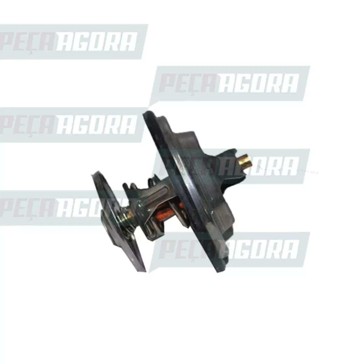 VALVULA TERMOSTATICA MB OM314 608D 608E 708E OM352 1113 1313 1513 2013 2213 O364