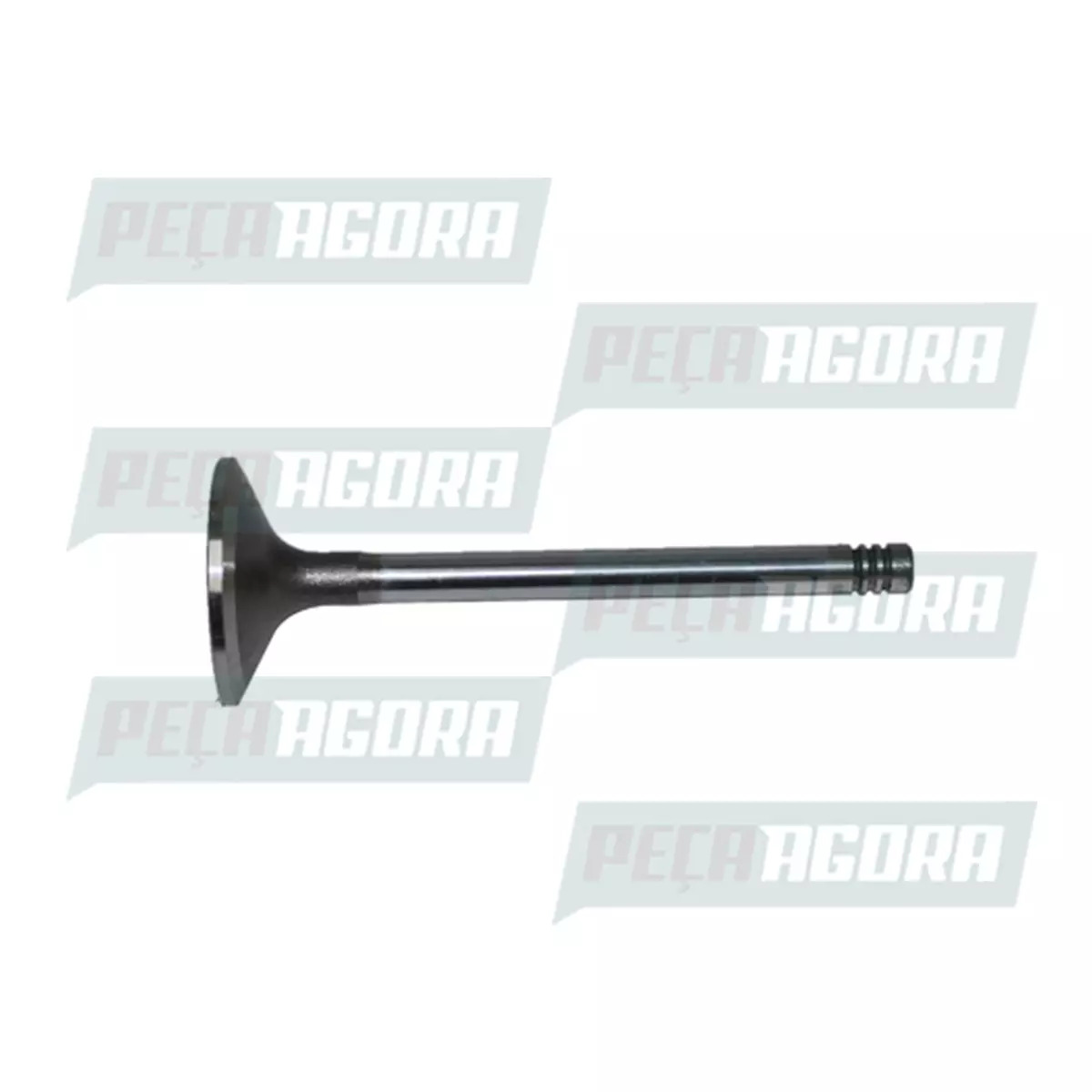 VALVULA ADMISSAO MOTOR MWM X10 X12 VW 7.100 8.100 8.140 14.200 14.150 12.140T 12