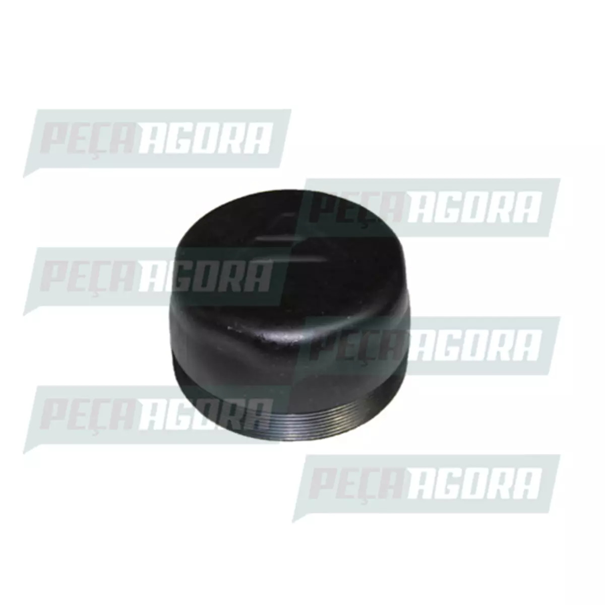 TAMPA CUBO RODA DIANTEIRO AGRALE VOLARE W9 2009... (6010008008008.)