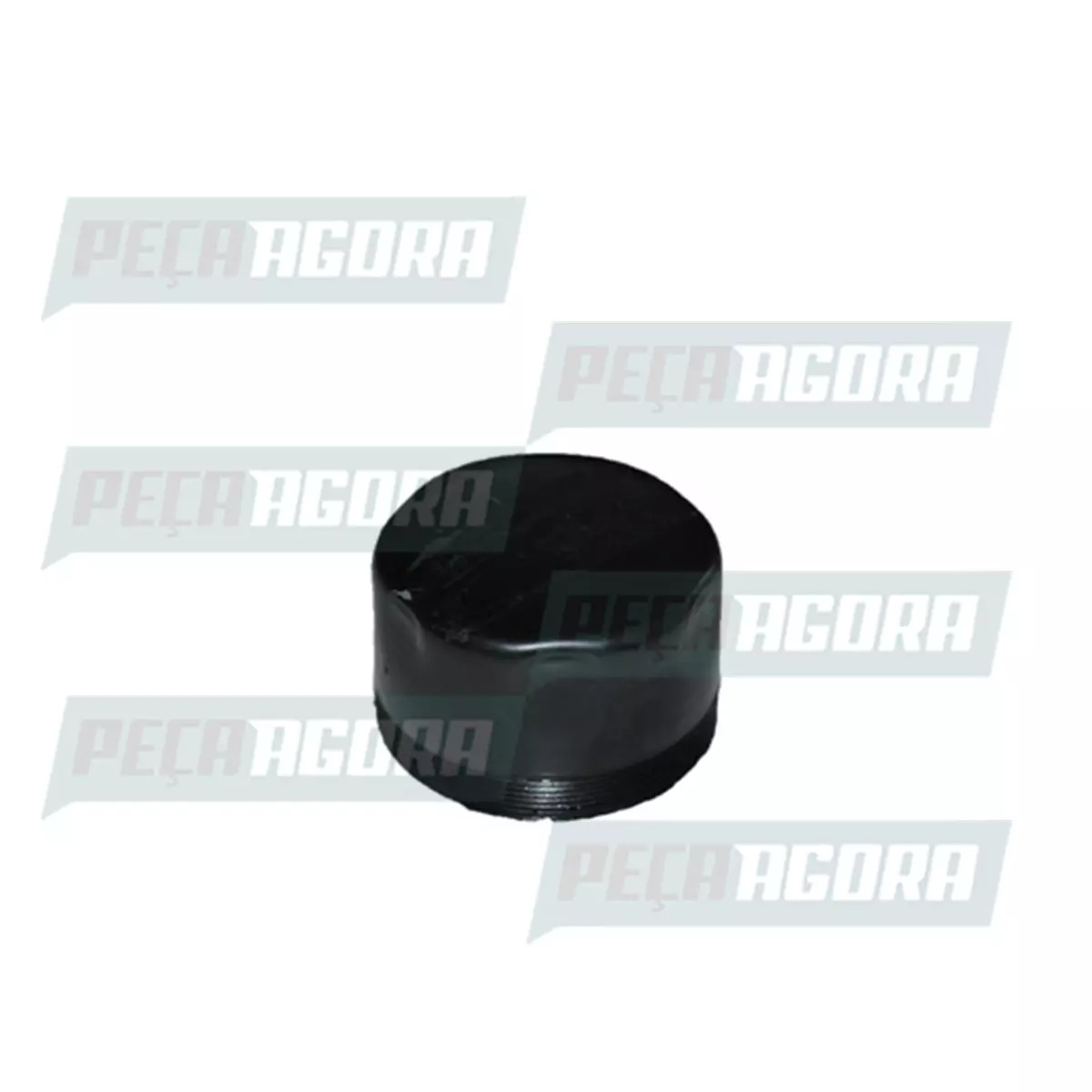 TAMPA CUBO RODA DIANTEIRO AGRALE VOLARE W9 2009... (6010008008008)