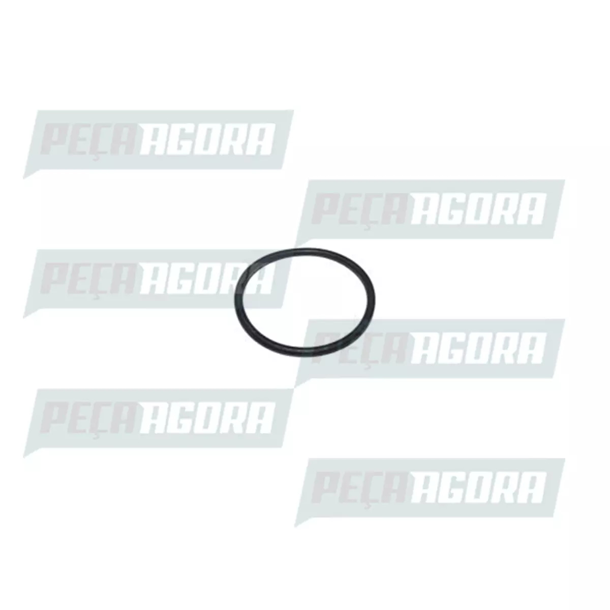 ANEL VEDACAO BOMBA COMBUSTIVEL VW 8.150E 9.150E 13.170 15.170E 13.180 15.180E 17