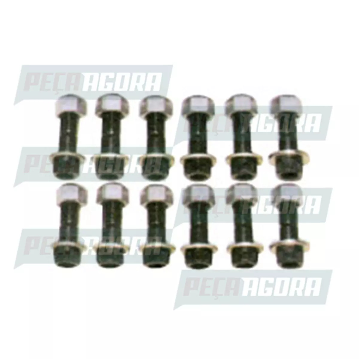 JOGO PARAFUSOS FIXACAO COROA PINHAO DIFERENCIAL L-147 12 PCS VW 11130 13130 1414