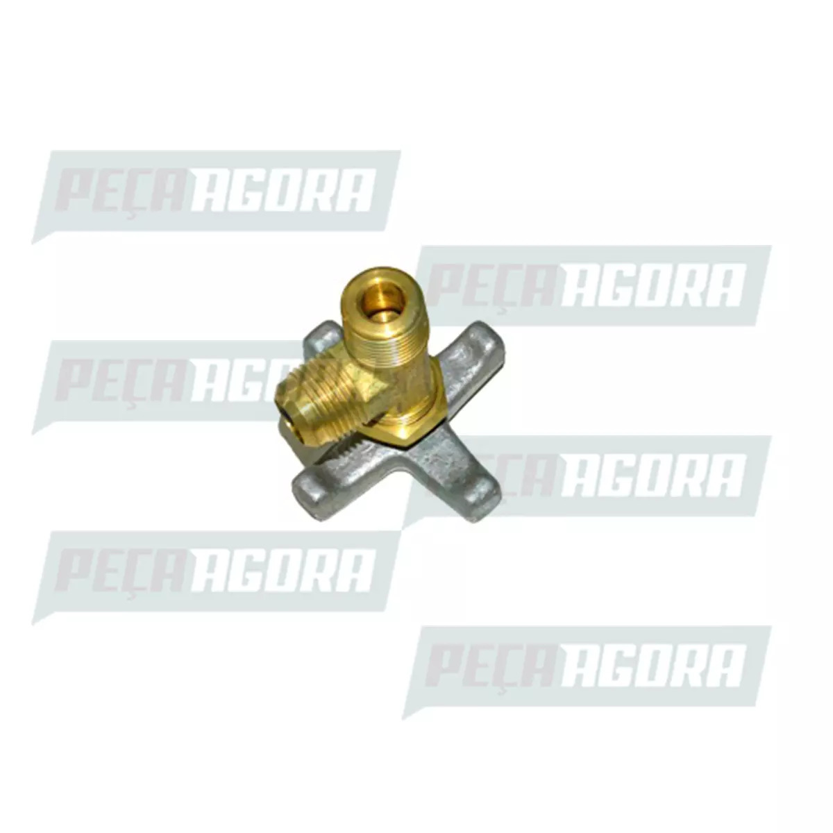 REGISTRO DE COMBUSTIVEL VW 35.300 40.300 (TRG201173)