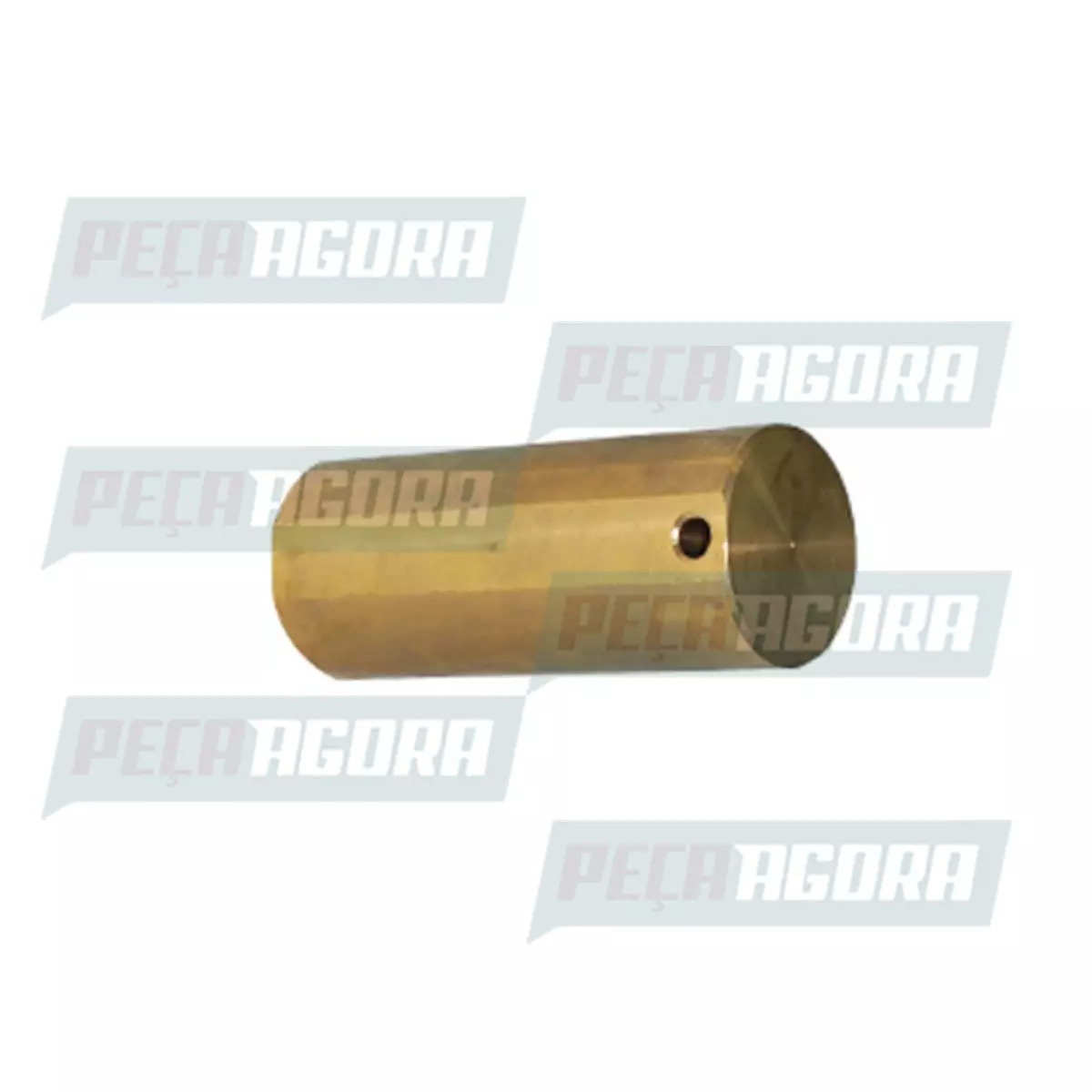 PINO BRONZE ENGRENAGEM PLANETARIA DIFERENCIAL 240 VW 14210 14220 16170 16180 162